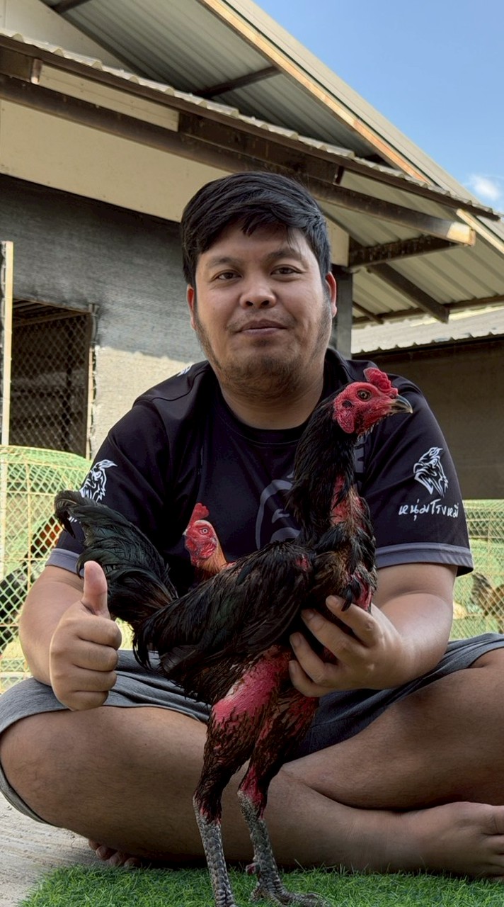 ทีมงานก็อฟโลติส