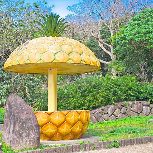  （圖片來源／IG @dafu_gc.6442）