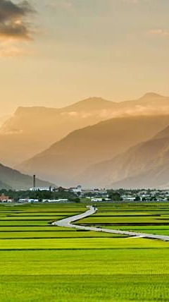 花東旅遊泡湯群