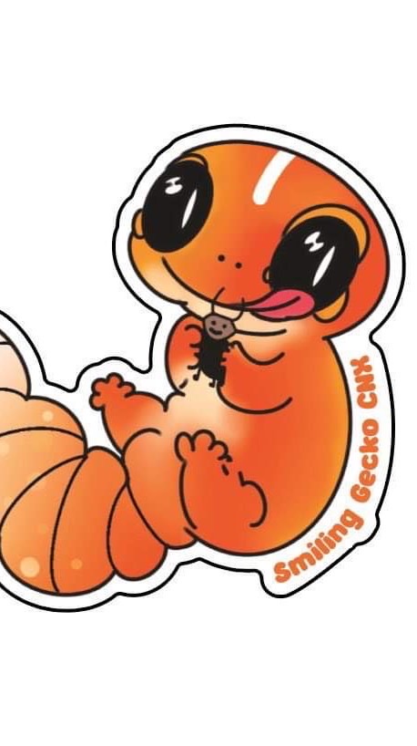 Smiling geckos🧡🦎