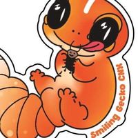 Smiling geckos🧡🦎