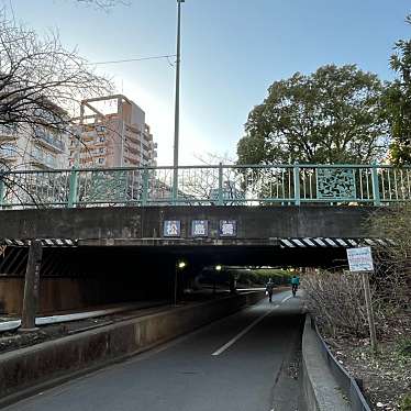 松島橋のundefinedに実際訪問訪問したユーザーunknownさんが新しく投稿した新着口コミの写真