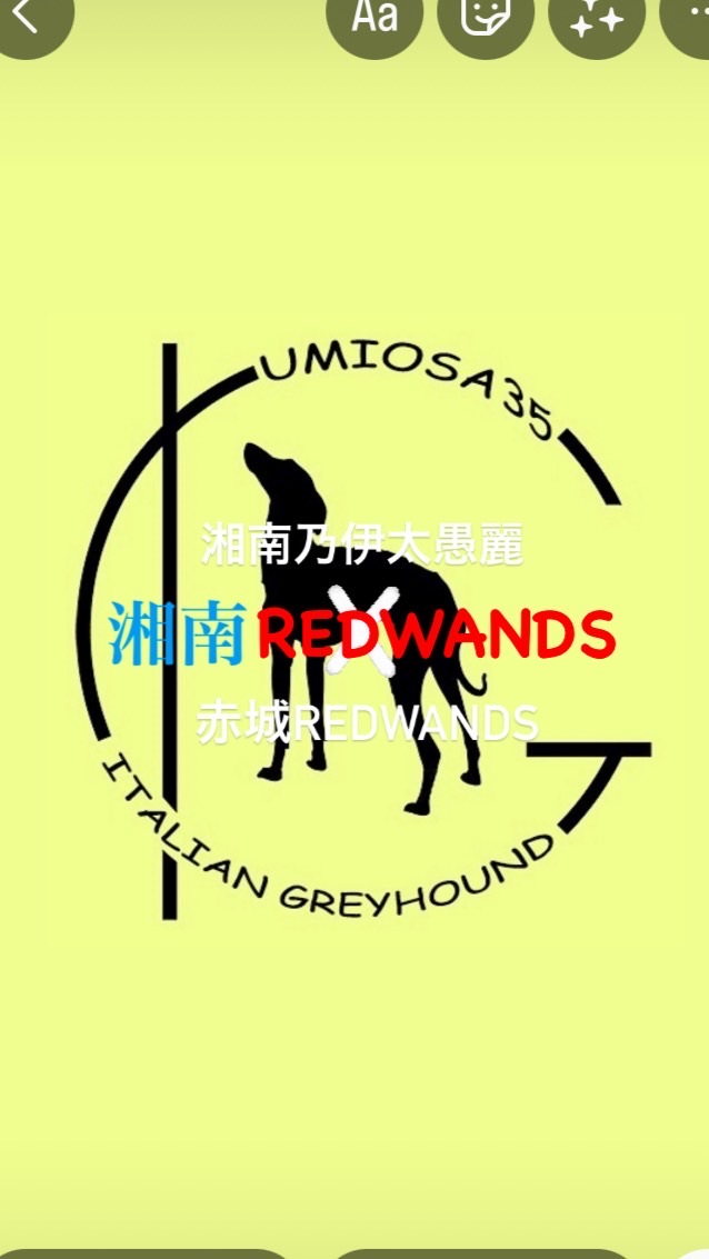 umiosa35 湘南REDWANDS