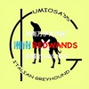 umiosa35 湘南REDWANDS