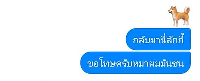 โดนใจชาวเน็ต มุขจีบสาว “หมาดื้อหลุดมาในแชท” การันตีผลลัพธ์เวรี่กู๊ด