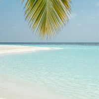 名古屋市守山区住み