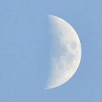 💫東北おしゃべり広場