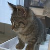 いつめん雑談