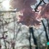 ゲイ・ホモの方仲良くしてください！