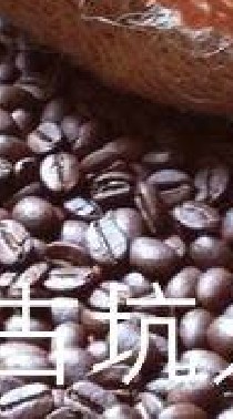 我是古坑人