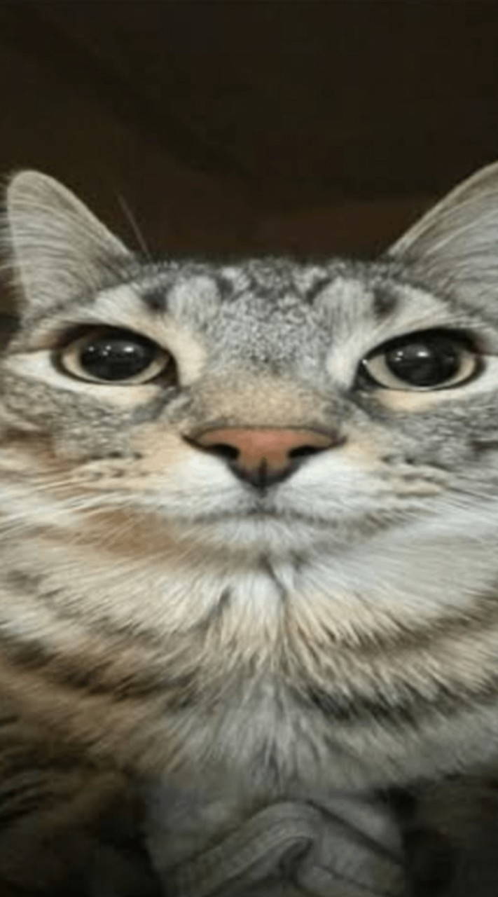_..... ... ...  ...