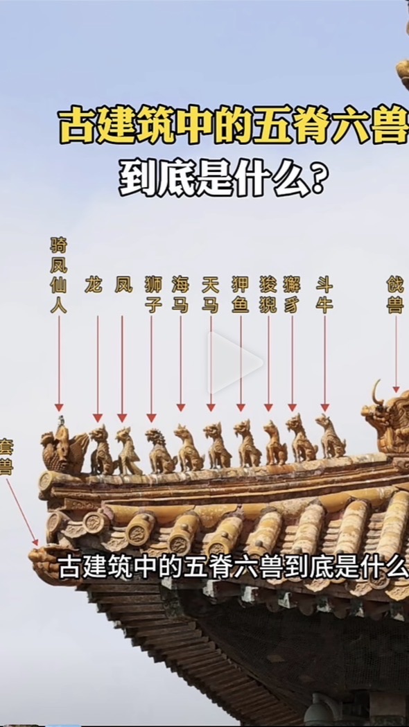 國內外旅遊服務領隊、台灣旅遊包車導遊