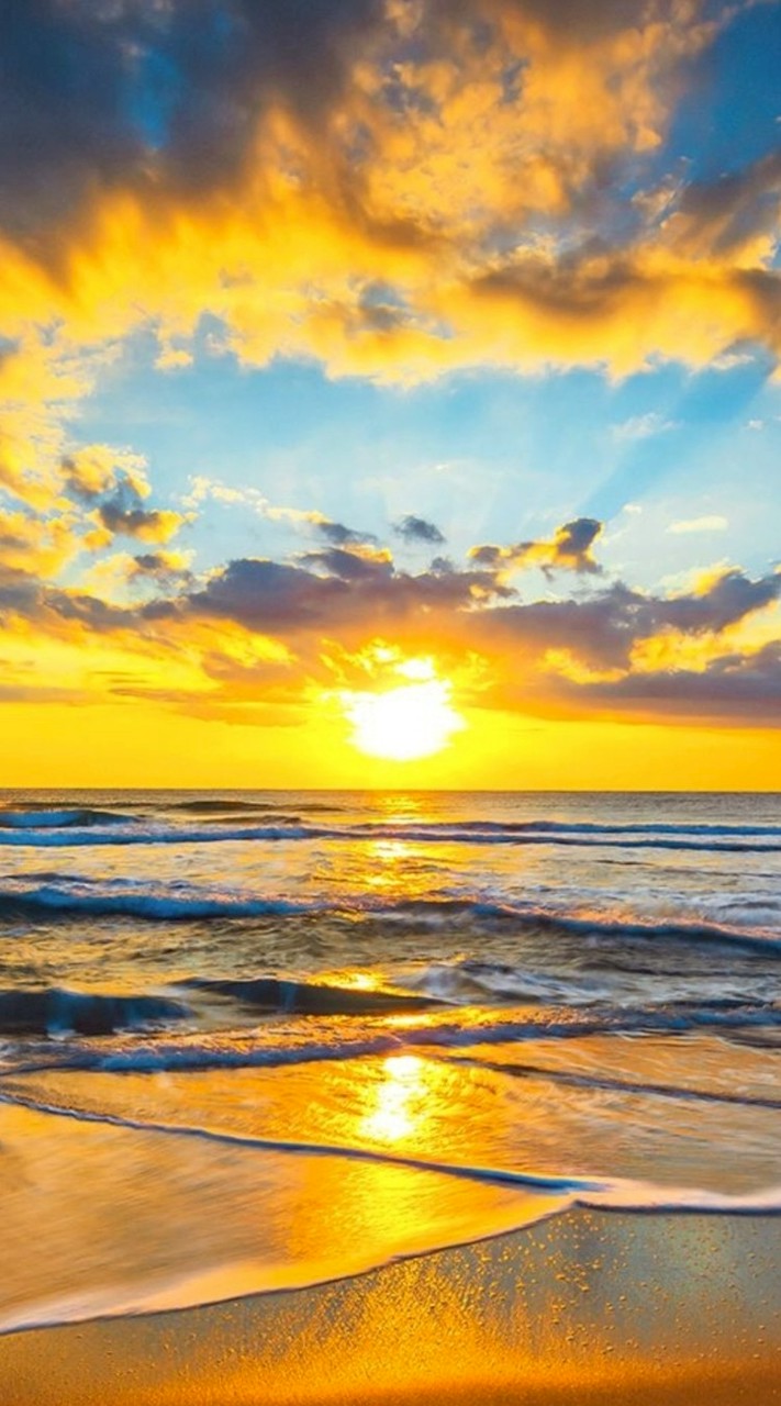 天賦數字❤️莎姐交流群