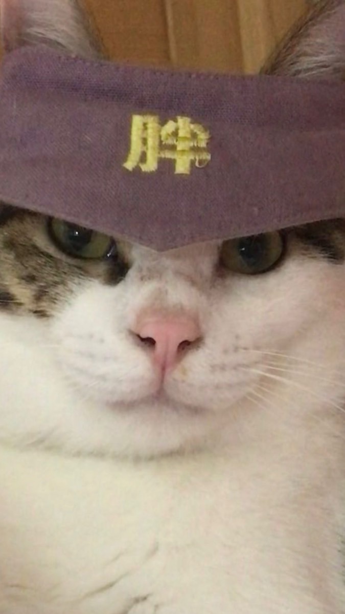 胖團