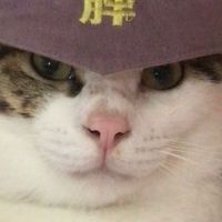 胖團