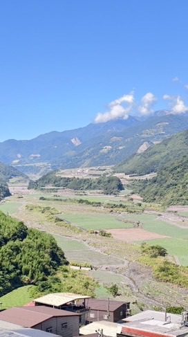 四季大小事