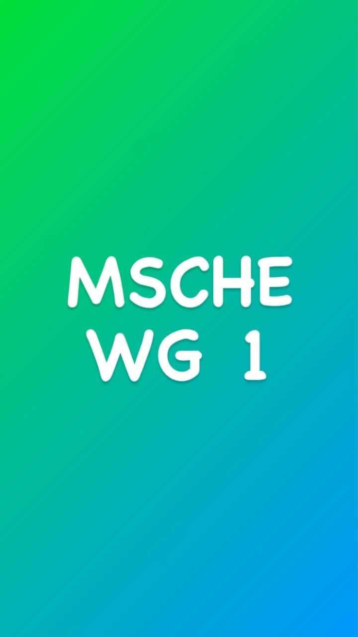 MSCHE WG 1