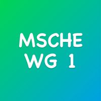 MSCHE WG 1