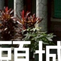 我是頭城人