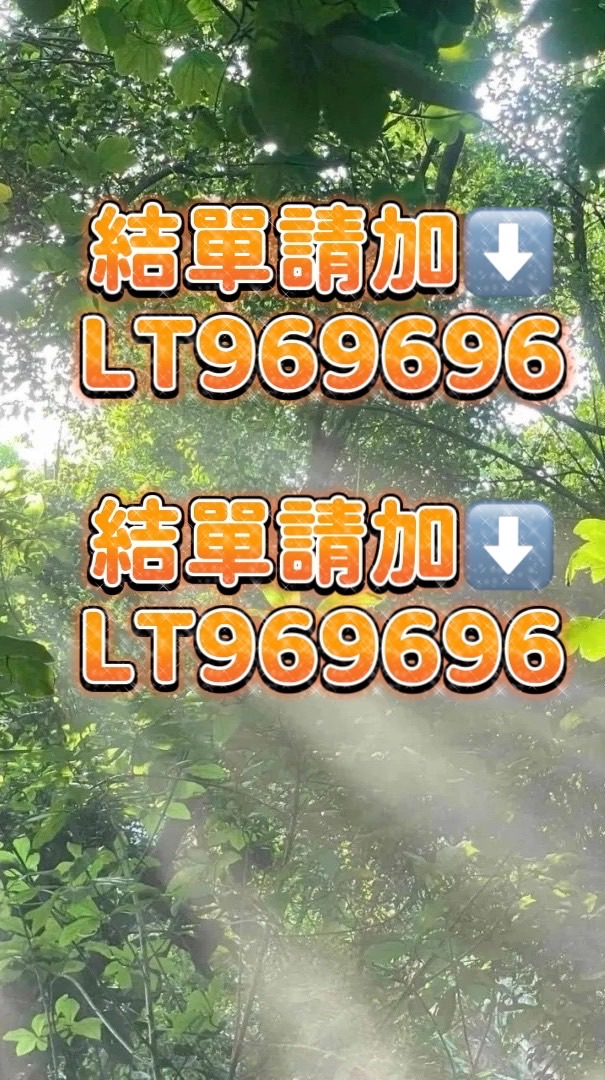 森貓雜貨舖🛒
