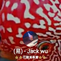 新艷麗大頭＿花羅漢