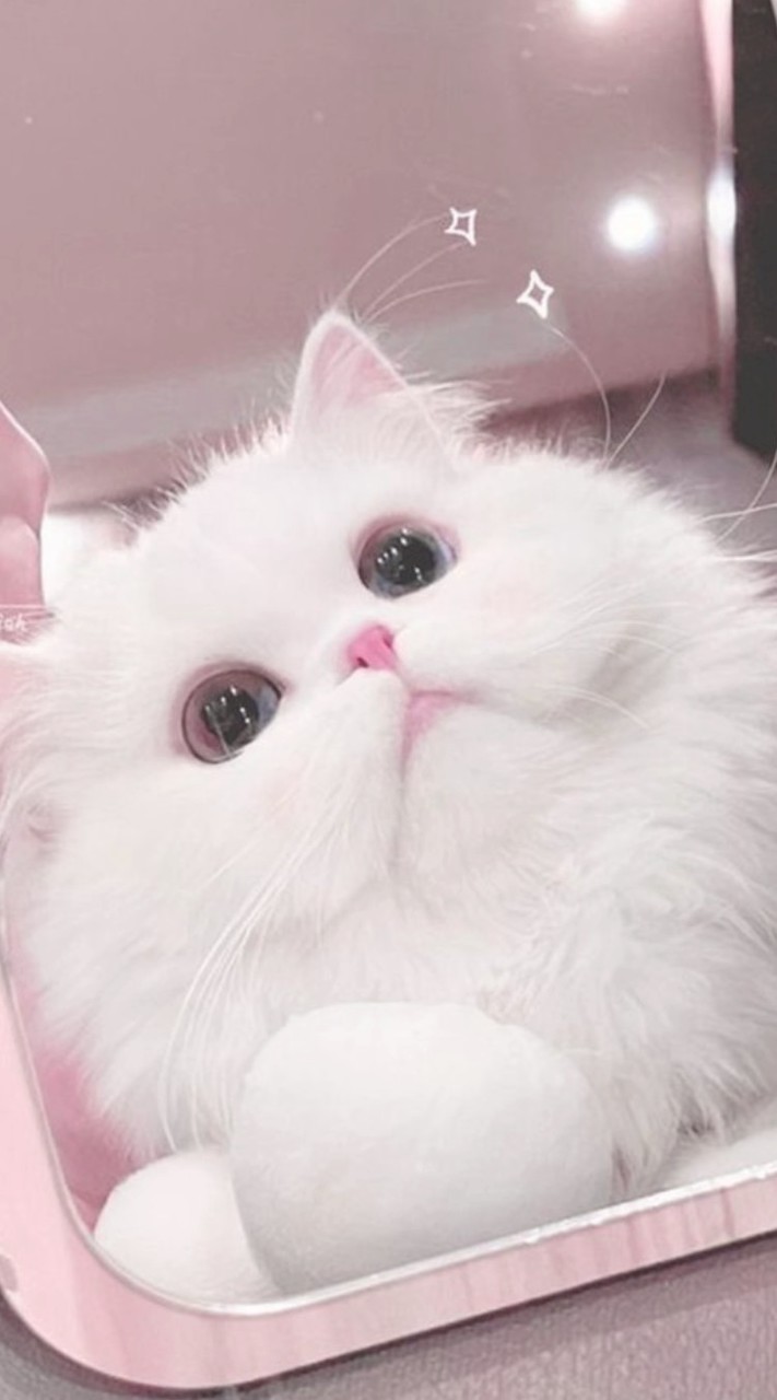 生活音投稿しちゃおー‼️🧏‍♀️💖