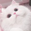 生活音投稿しちゃおー‼️🧏‍♀️💖