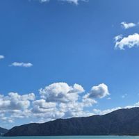 30代～皆でワイワイ🐬ルーム🐬東海地区