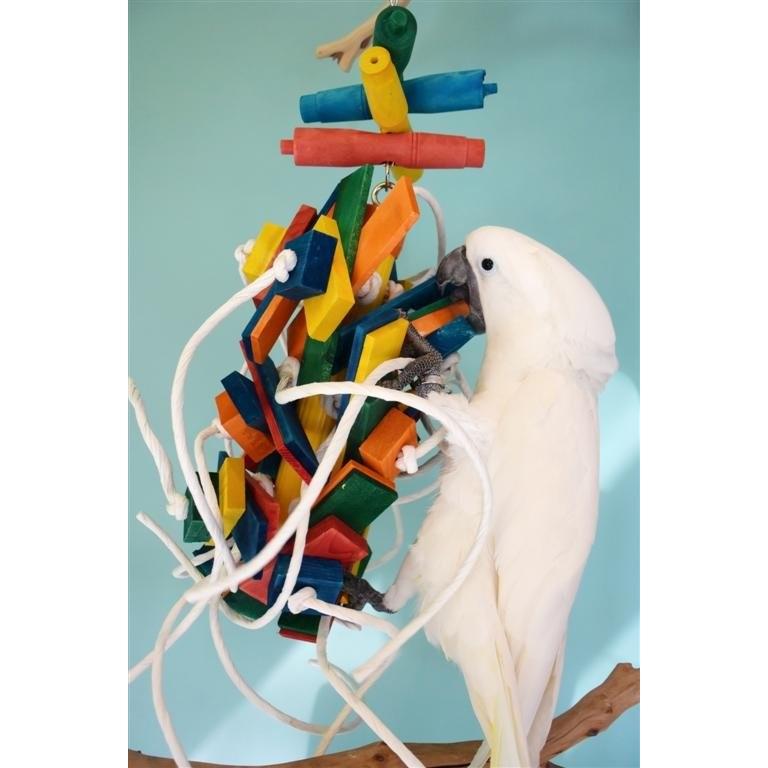 金瑞成鳥園- 火龍果/加拿大製造/滿足鳥寶運動、啃咬、動腦的鸚鵡玩具/適合中大型、大型鸚鵡