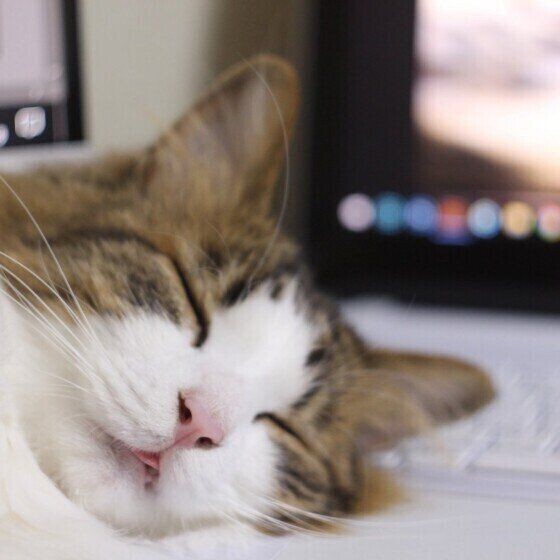 しまい忘れてますよ 舌をだしっぱなしにしてしまう理由