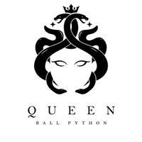 Queen ballpython