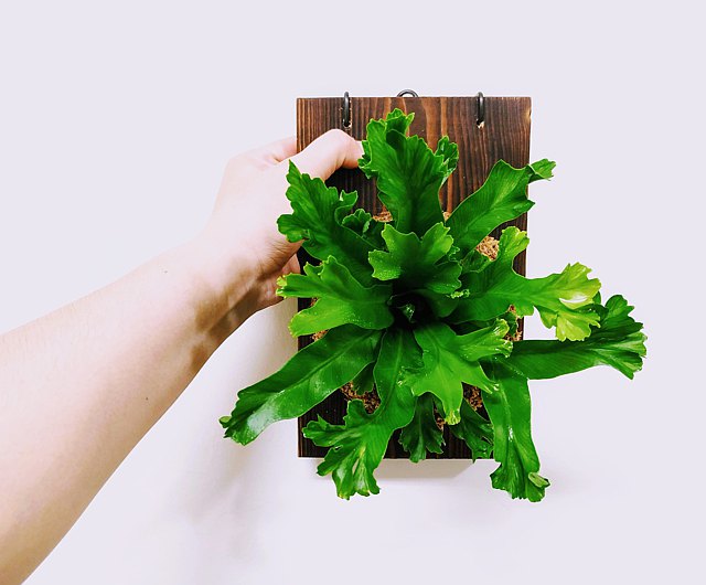 【VitaDesign】 森林系壁植