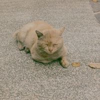 無邊際聊天