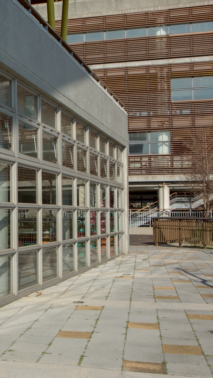 DYISH ECAs 課外活動