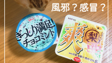 台日生病飲食差異｜日本人感冒照喝冰不誤！吃冰淇淋、果凍鎮靜喉嚨痛