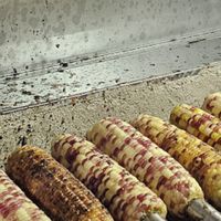 黃佳香碳烤玉米13號車社群