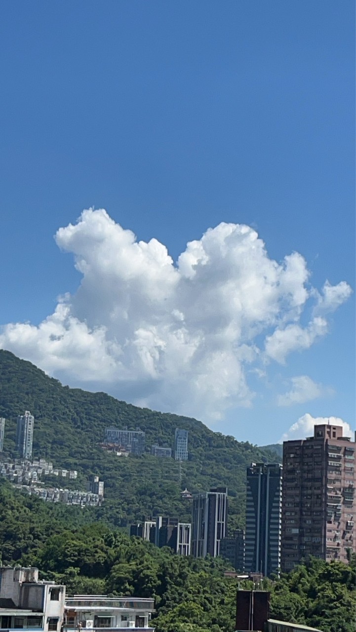 1928-2023由大安公園走回青春