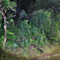 貓狗通報救援互助團