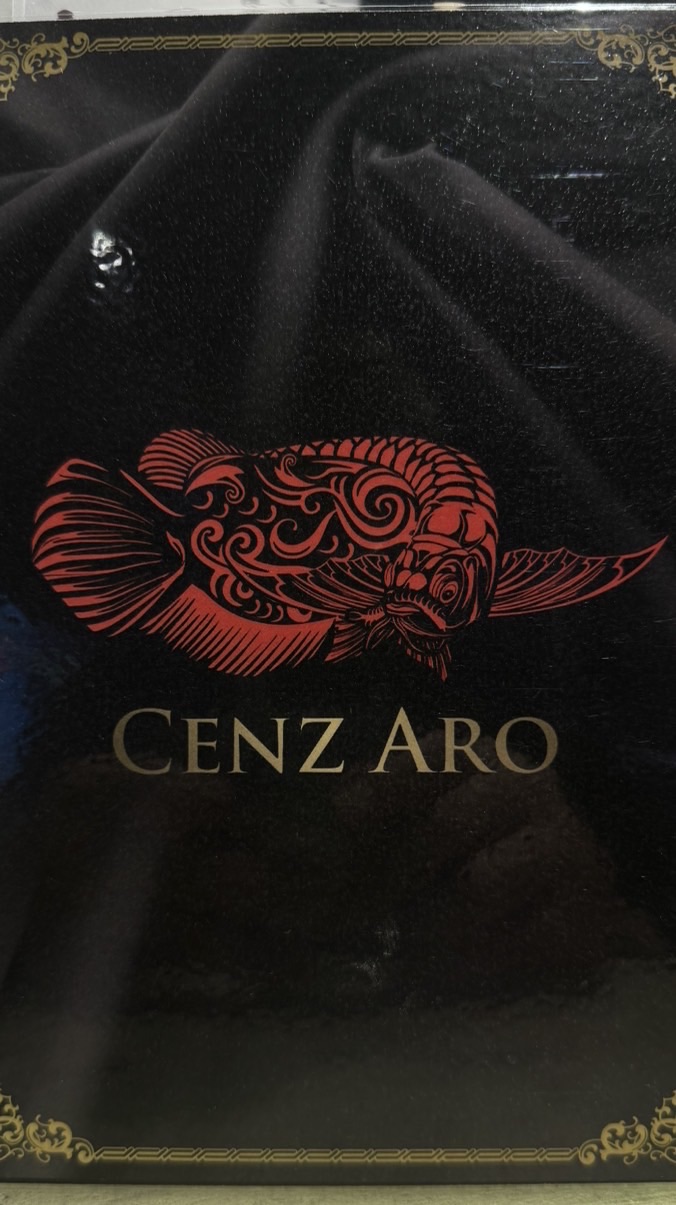 菁英龍魚