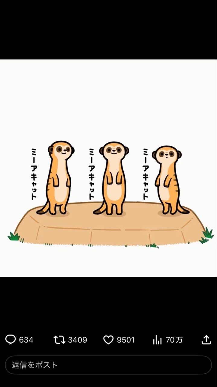 「アモアスよこすけ枠」