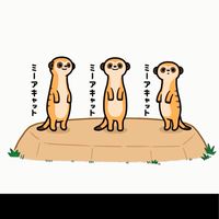 「アモアスよこすけ枠」