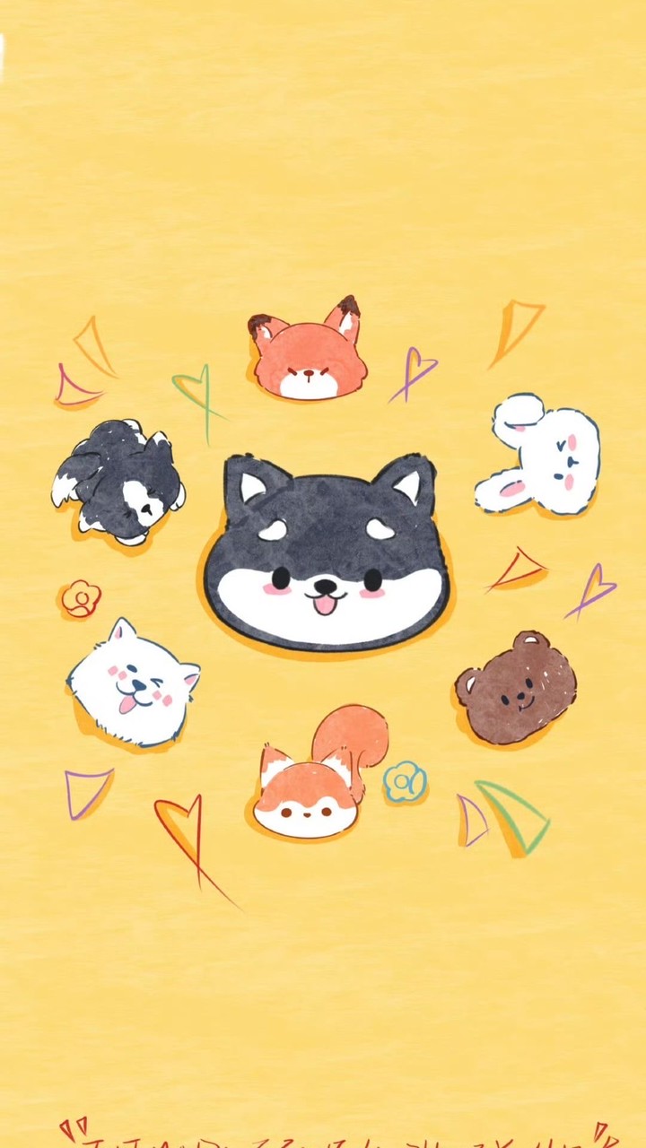 Love TF大家族