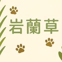 岩蘭草毛友會