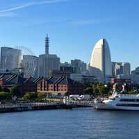 🀄️【関東限定・少人数制】東京 ・神奈川 ・埼玉 ・千葉🌈50歳〜隙間時間にまったりしましょう🍉