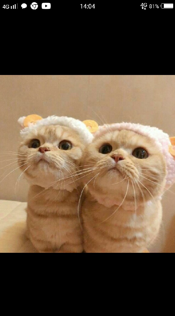 หาเพื่อน😘😛