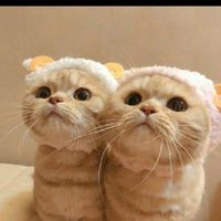 หาเพื่อน😘😛