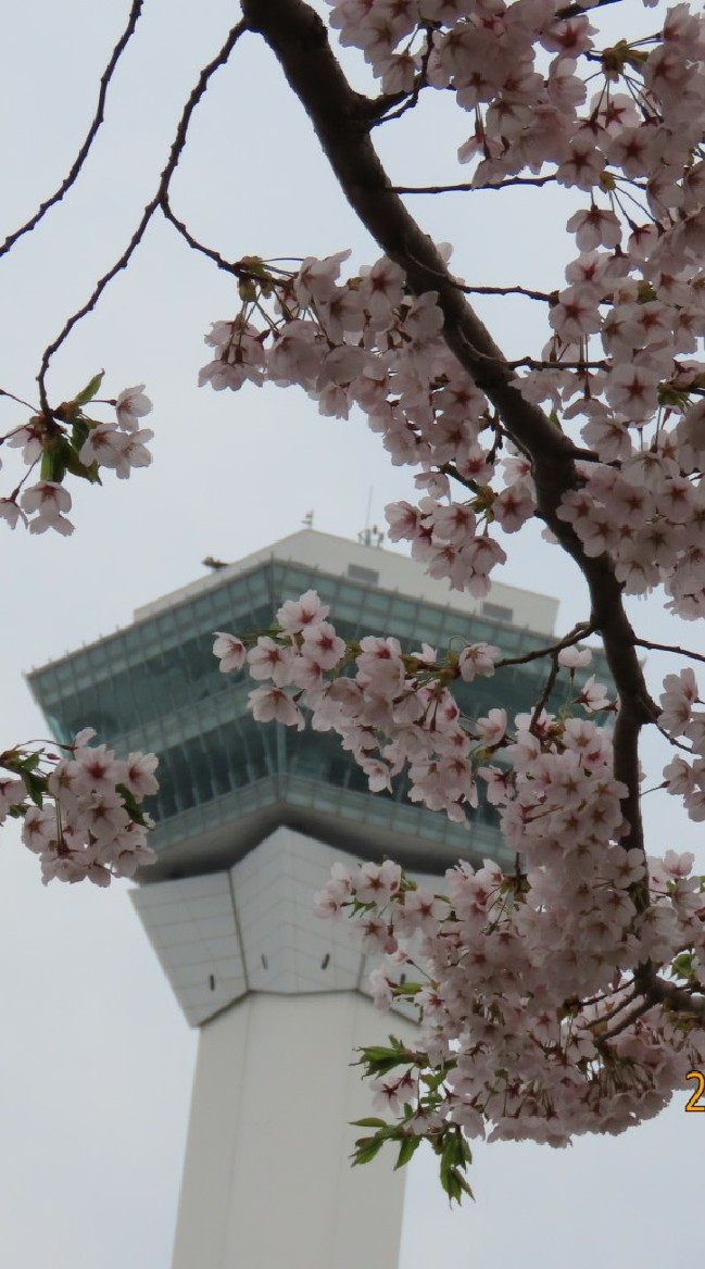 函館の飛行機好きの集まり!!