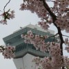 函館の飛行機好きの集まり!!