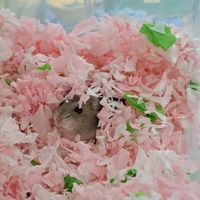 鼠來鼠去🐹倉鼠寵物用品店✨