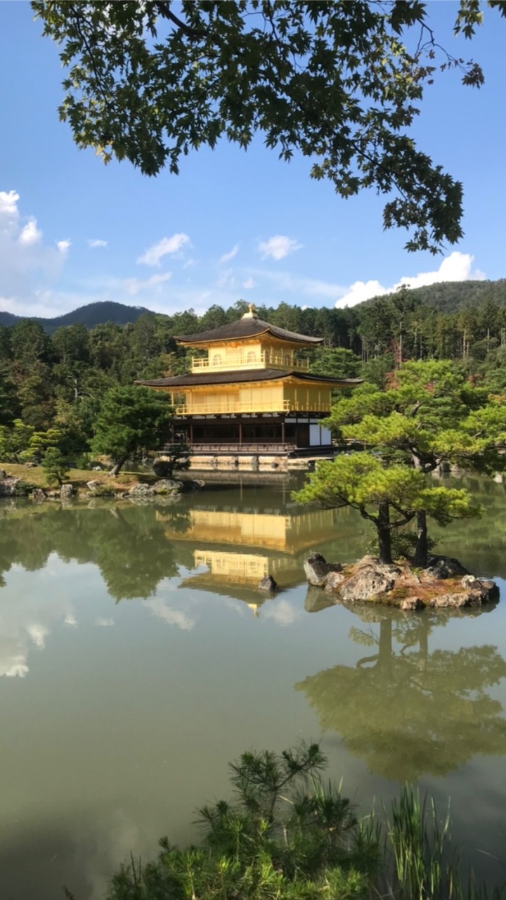 股市分享